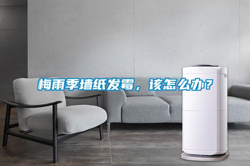 梅雨季墻紙發(fā)霉，該怎么辦？