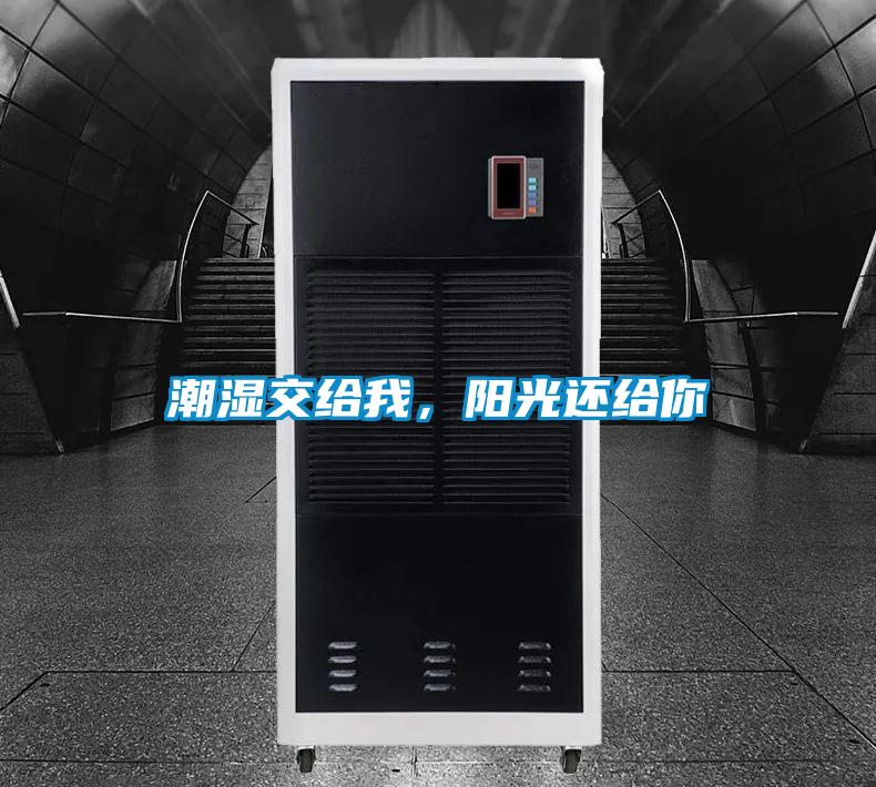 潮濕交給我，陽(yáng)光還給你
