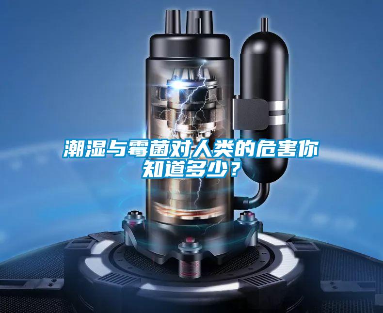 潮濕與霉菌對人類的危害你知道多少？
