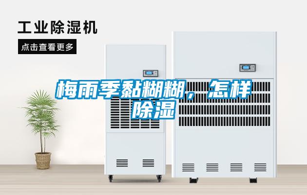 梅雨季黏糊糊，怎樣除濕