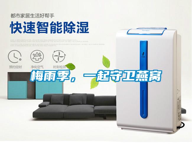 梅雨季，一起守衛(wèi)燕窩