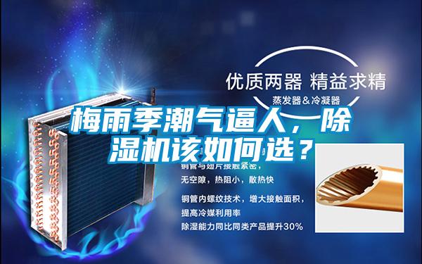 梅雨季潮氣逼人，除濕機該如何選？
