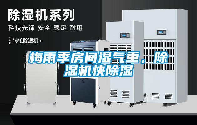梅雨季房間濕氣重，除濕機快除濕
