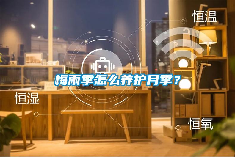 梅雨季怎么養(yǎng)護(hù)月季？