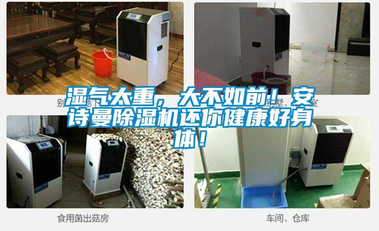 濕氣太重，大不如前！安詩曼除濕機還你健康好身體！