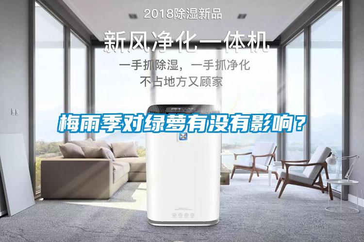 梅雨季對綠蘿有沒有影響？
