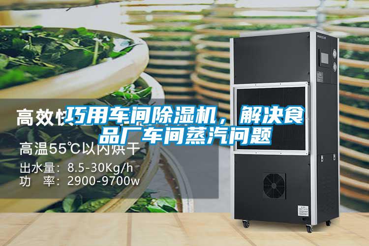 巧用車間除濕機(jī)，解決食品廠車間蒸汽問題