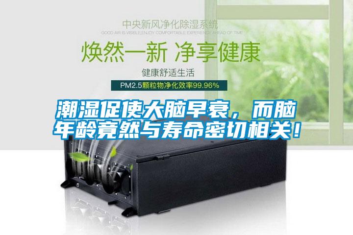 潮濕促使大腦早衰，而腦年齡竟然與壽命密切相關(guān)！