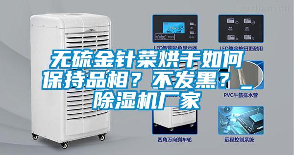 無硫金針菜烘干如何保持品相？不發(fā)黑？_除濕機廠家