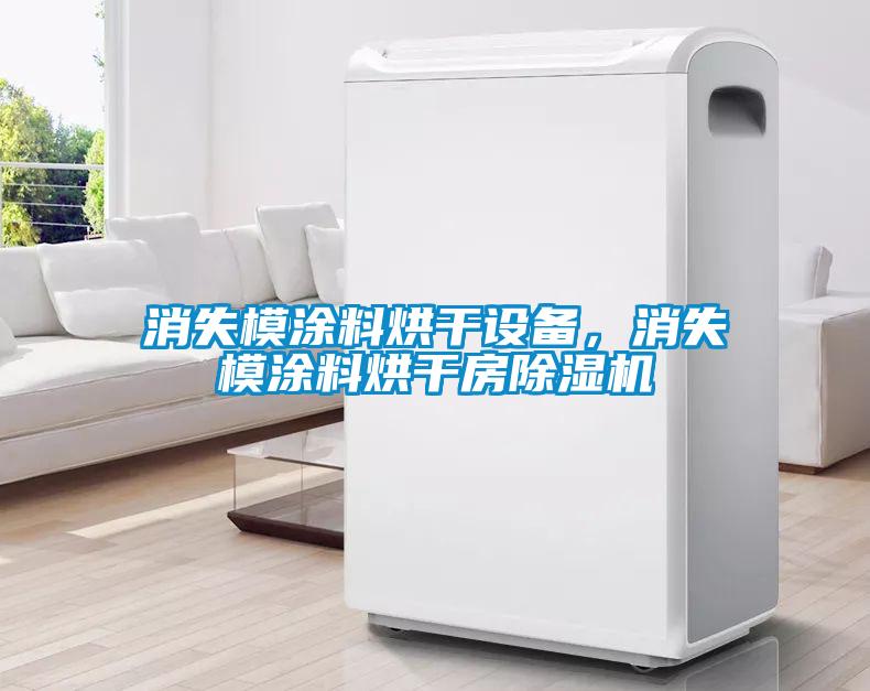 消失模涂料烘干設(shè)備，消失模涂料烘干房除濕機(jī)