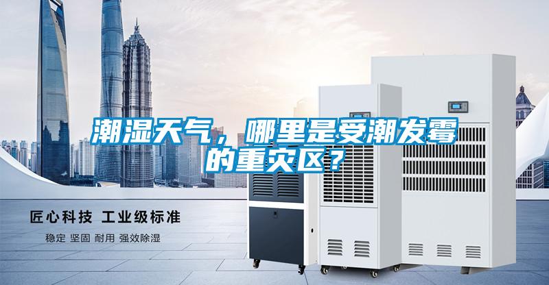 潮濕天氣，哪里是受潮發(fā)霉的重災(zāi)區(qū)？