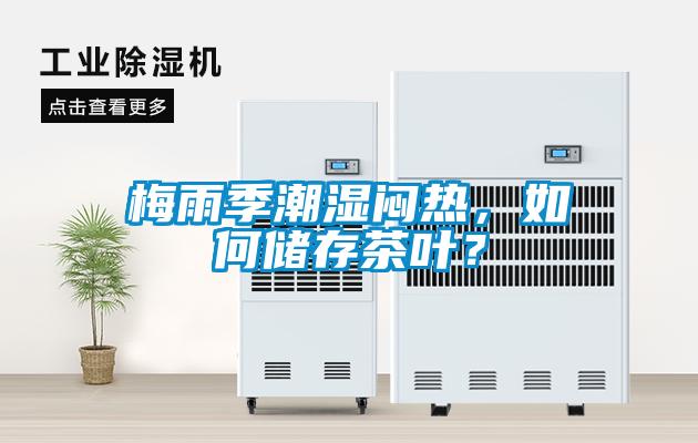 梅雨季潮濕悶熱，如何儲存茶葉？