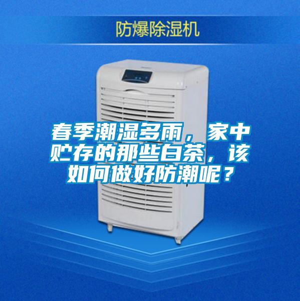 春季潮濕多雨，家中貯存的那些白茶，該如何做好防潮呢？