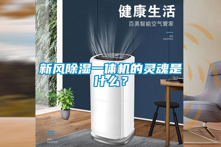 新風(fēng)除濕一體機(jī)的靈魂是什么？