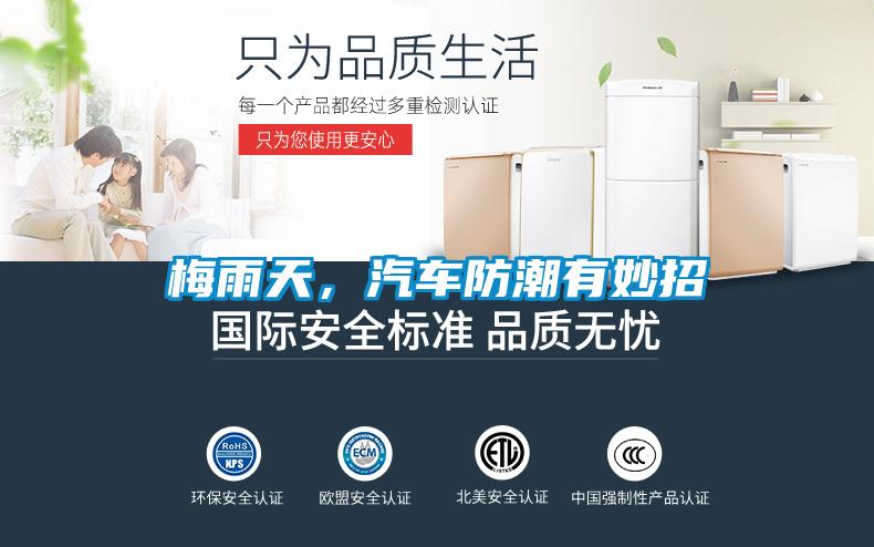 梅雨天，汽車防潮有妙招