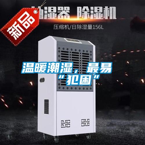 溫暖潮濕，最易“犯困”
