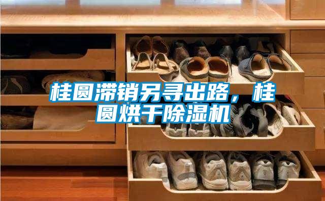 桂圓滯銷另尋出路，桂圓烘干除濕機