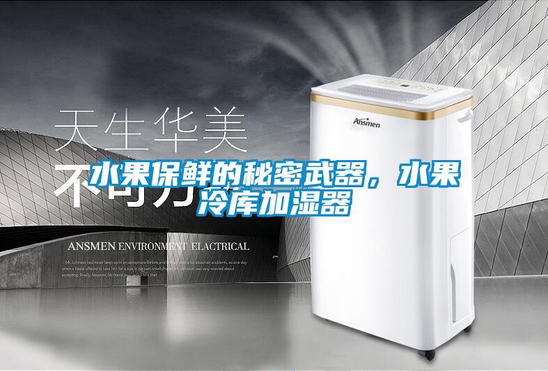 水果保鮮的秘密武器，水果冷庫加濕器