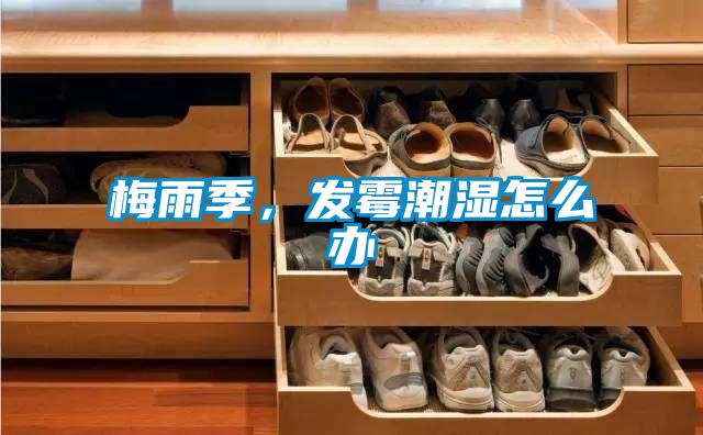 梅雨季，發(fā)霉潮濕怎么辦