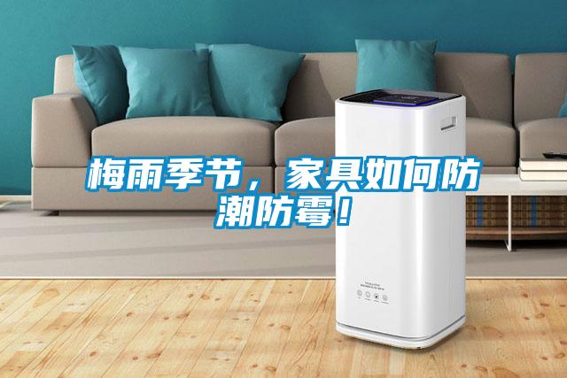 梅雨季節(jié)，家具如何防潮防霉！