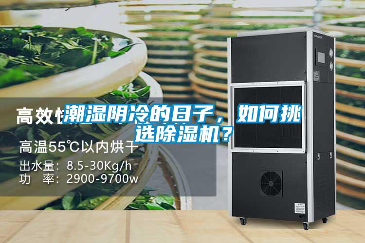 潮濕陰冷的日子，如何挑選除濕機(jī)？