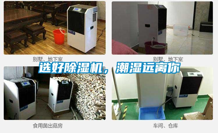 選好除濕機(jī)，潮濕遠(yuǎn)離你