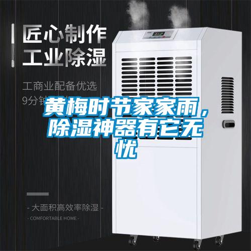黃梅時節(jié)家家雨，除濕神器有它無憂