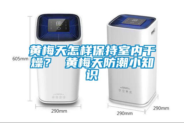 黃梅天怎樣保持室內干燥? 黃梅天防潮小知識