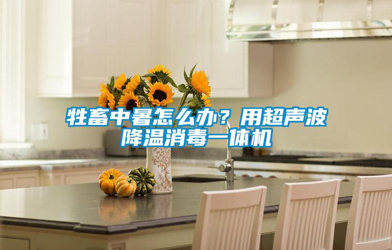 牲畜中暑怎么辦？用超聲波降溫消毒一體機