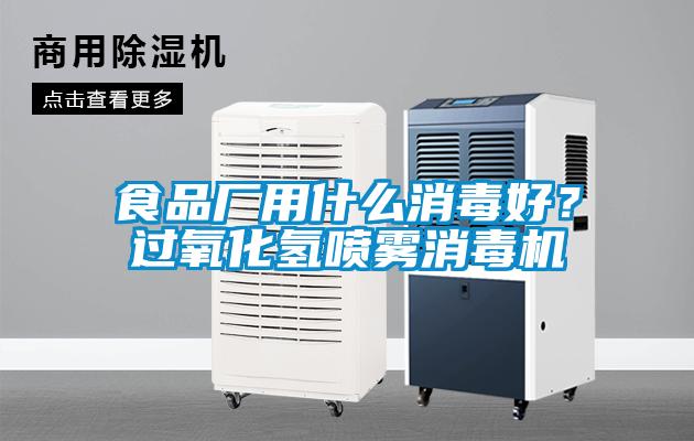 食品廠用什么消毒好？過氧化氫噴霧消毒機(jī)