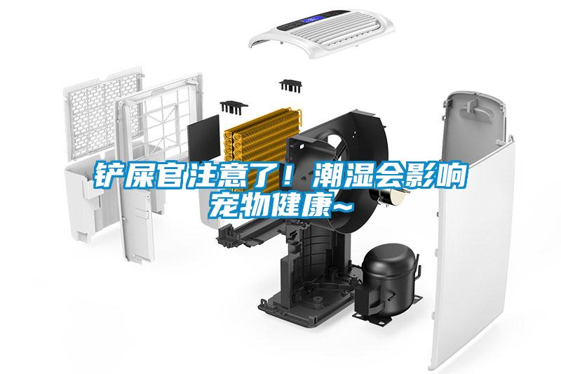 鏟屎官注意了！潮濕會影響寵物健康~