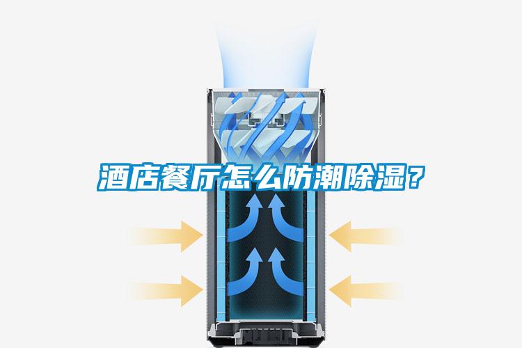 酒店餐廳怎么防潮除濕？