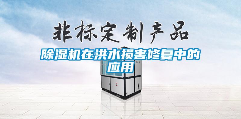 除濕機在洪水損害修復(fù)中的應(yīng)用
