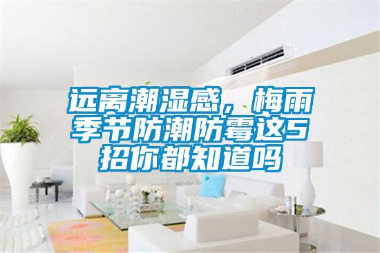 遠(yuǎn)離潮濕感，梅雨季節(jié)防潮防霉這5招你都知道嗎