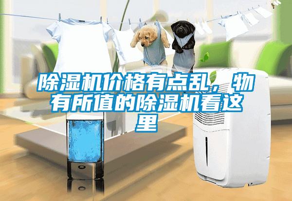 除濕機(jī)價(jià)格有點(diǎn)亂，物有所值的除濕機(jī)看這里