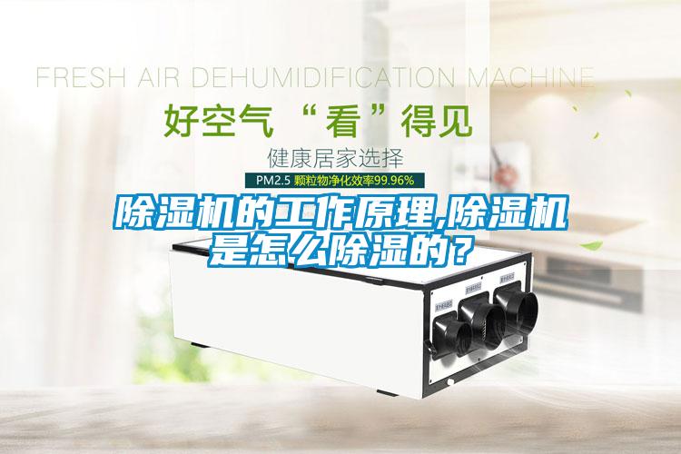 除濕機的工作原理,除濕機是怎么除濕的？