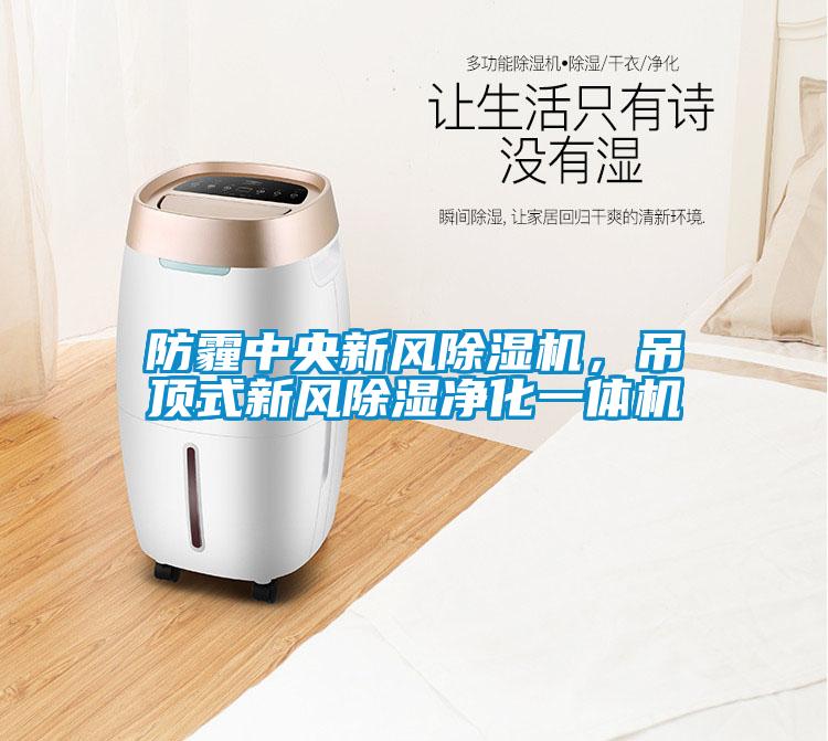 防霾中央新風(fēng)除濕機，吊頂式新風(fēng)除濕凈化一體機