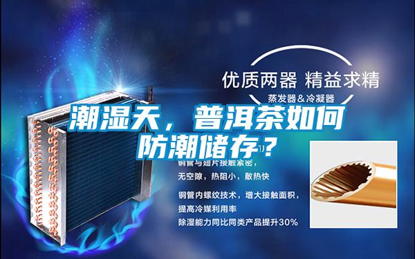 潮濕天，普洱茶如何防潮儲(chǔ)存？