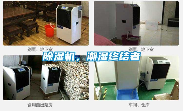 除濕機，潮濕終結(jié)者