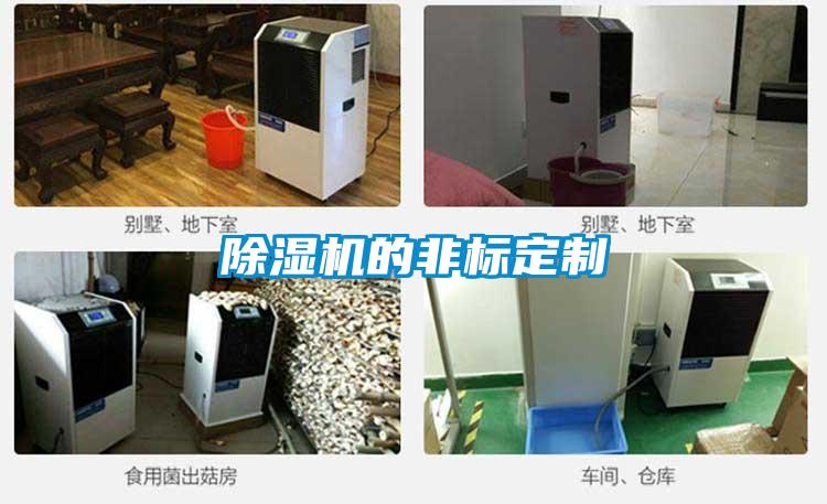 除濕機的非標(biāo)定制