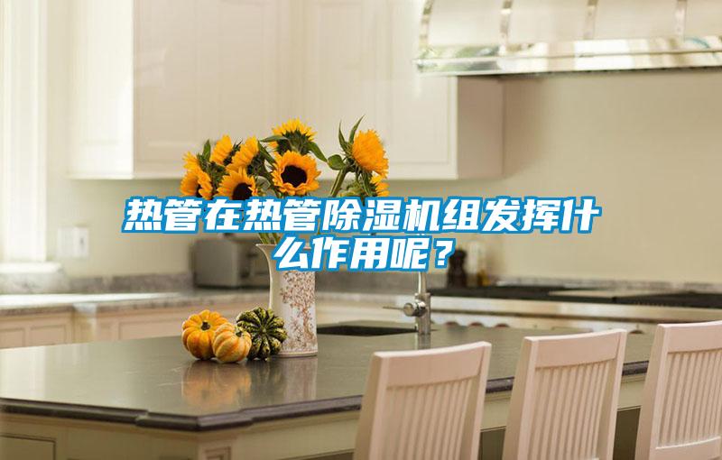 熱管在熱管除濕機(jī)組發(fā)揮什么作用呢？