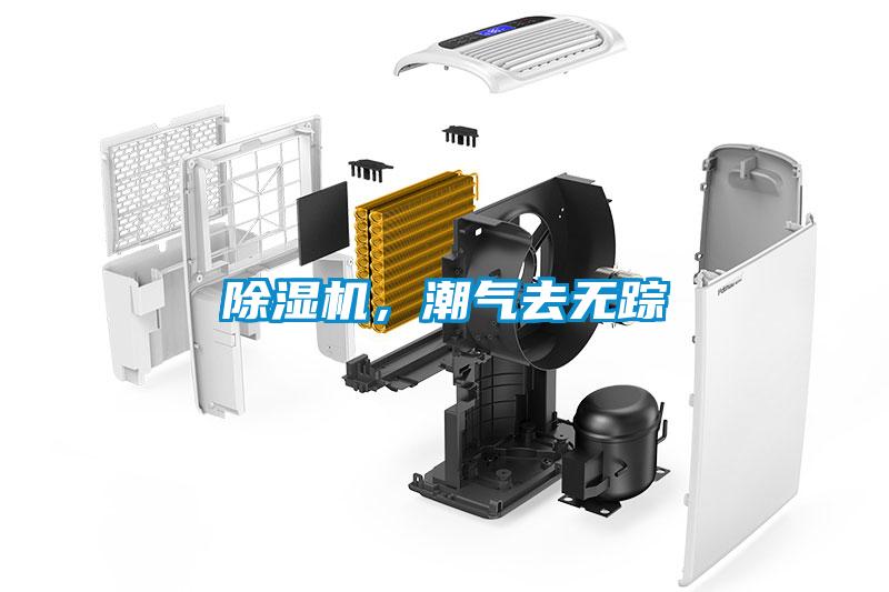 除濕機，潮氣去無蹤