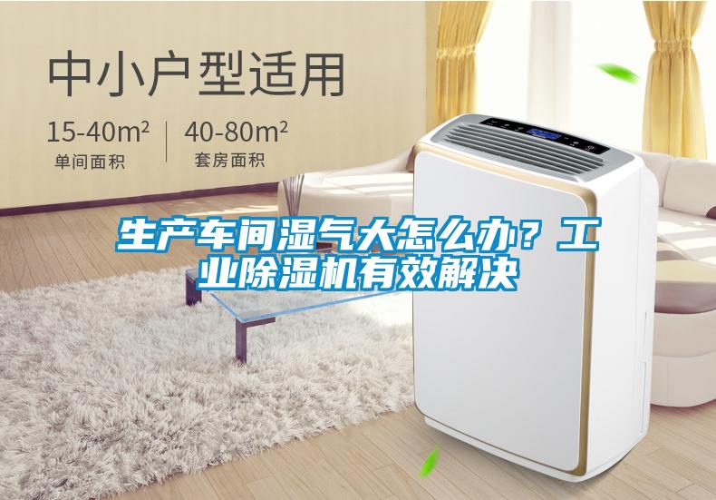 生產(chǎn)車間濕氣大怎么辦？工業(yè)除濕機(jī)有效解決