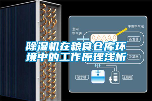除濕機在糧食倉庫環(huán)境中的工作原理淺析