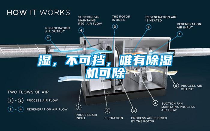 濕，不可擋，唯有除濕機可除