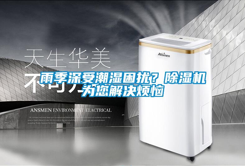 雨季深受潮濕困擾？除濕機為您解決煩惱