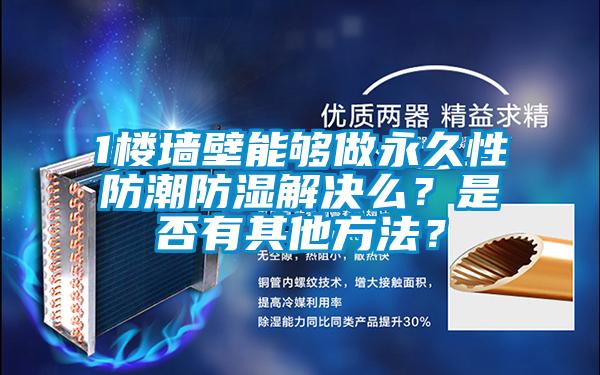 1樓墻壁能夠做永久性防潮防濕解決么？是否有其他方法？
