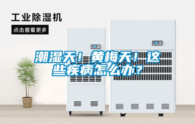 潮濕天！黃梅天！這些疾病怎么辦？