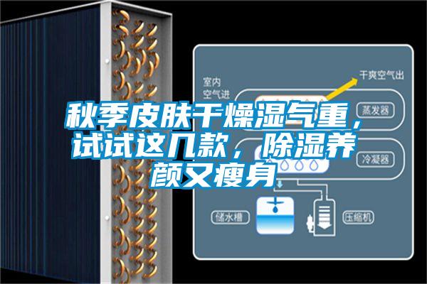 秋季皮膚干燥濕氣重，試試這幾款，除濕養(yǎng)顏又瘦身