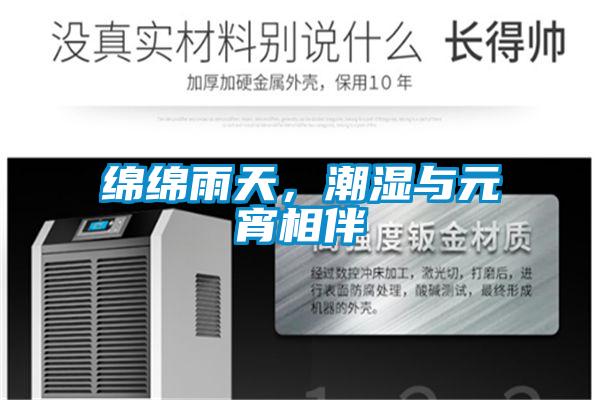 綿綿雨天，潮濕與元宵相伴